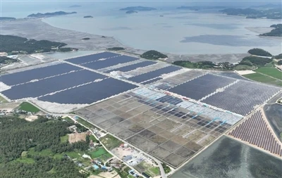 Южна Корея пуска 1GW слънчева оферта с по -строги въглеродни стандарти и по -...